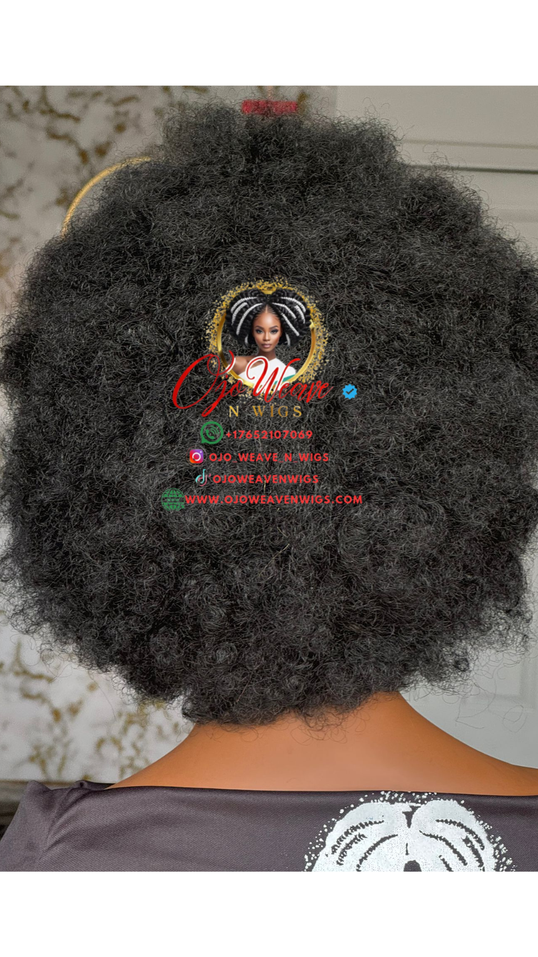Paloma Full Lace Wig Ready to Ship