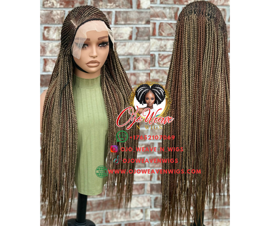 Asabi Unit 13x6 Closure Wig Ready to Ship