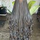 Full Lace Spiral Curls Wig Ready To Ship 28 Inches Color 1b