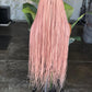 Full Lace Color Pink Knotless Braids 30 Inches Ready To Ship