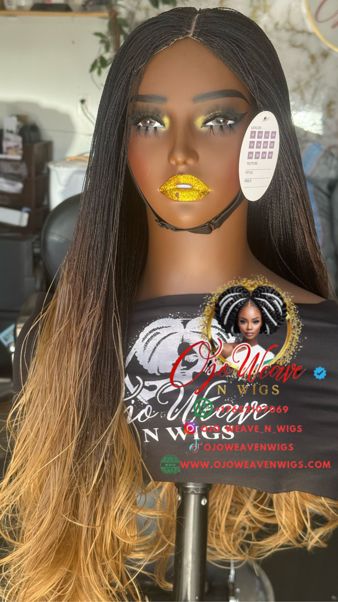 Amena Micro Twist Ombre Wig: Pre Order
