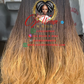 Amena Micro Twist Ombre Wig: Pre Order